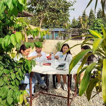 Hotel Tiger Tops Sauraha Ngoại thất bức ảnh