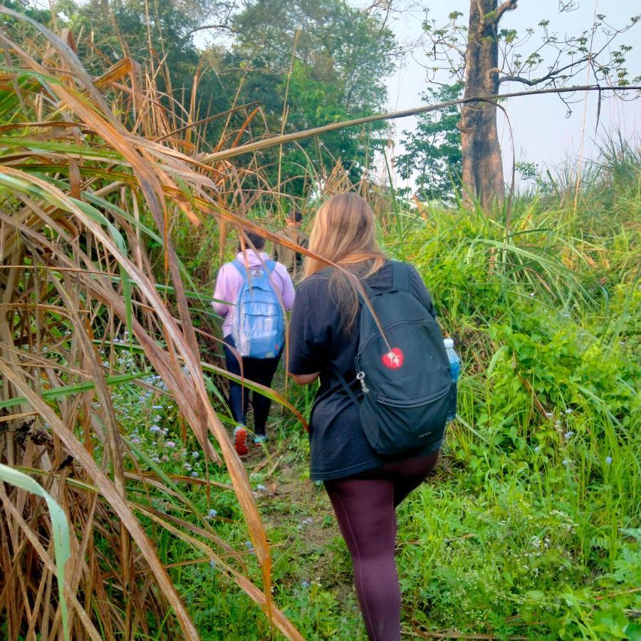 Hotel Tiger Tops Sauraha Ngoại thất bức ảnh