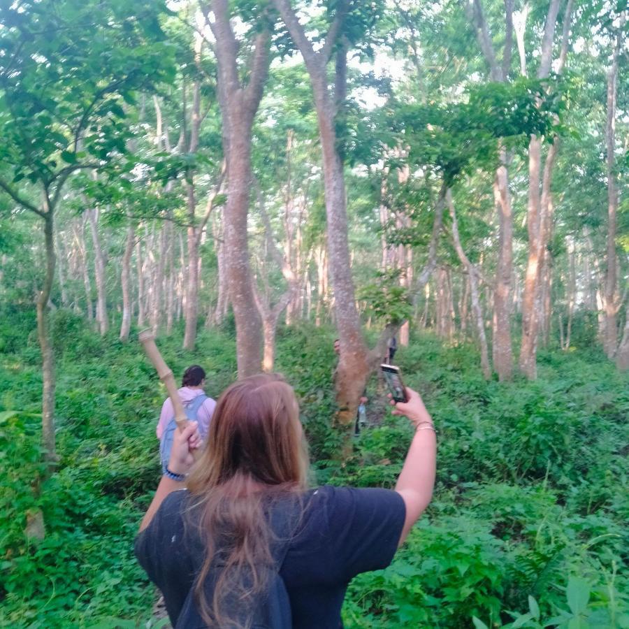 Hotel Tiger Tops Sauraha Ngoại thất bức ảnh