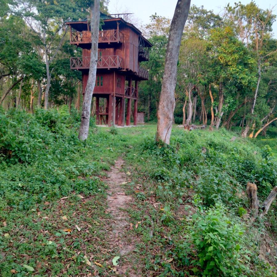 Hotel Tiger Tops Sauraha Ngoại thất bức ảnh