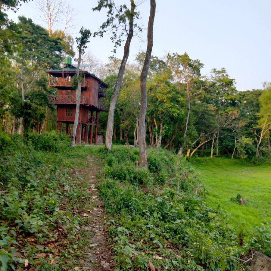 Hotel Tiger Tops Sauraha Ngoại thất bức ảnh