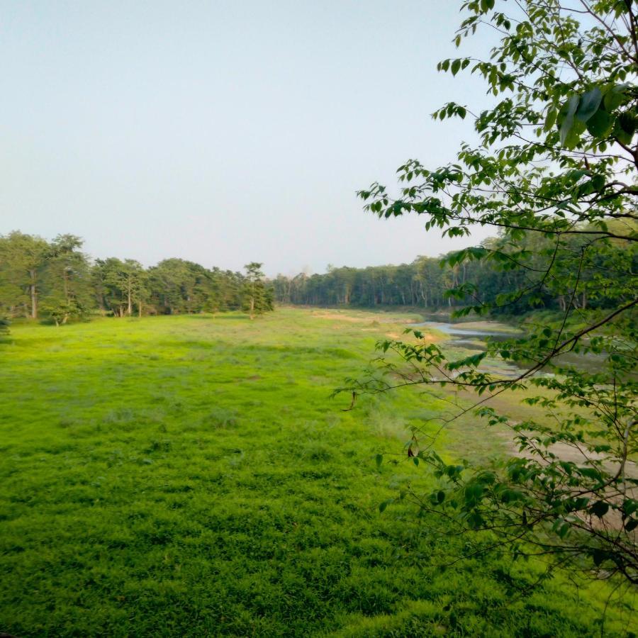 Hotel Tiger Tops Sauraha Ngoại thất bức ảnh