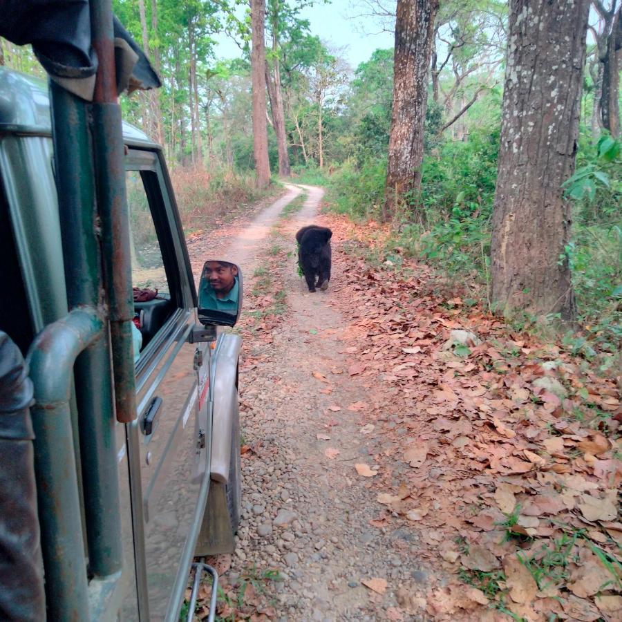 Hotel Tiger Tops Sauraha Ngoại thất bức ảnh