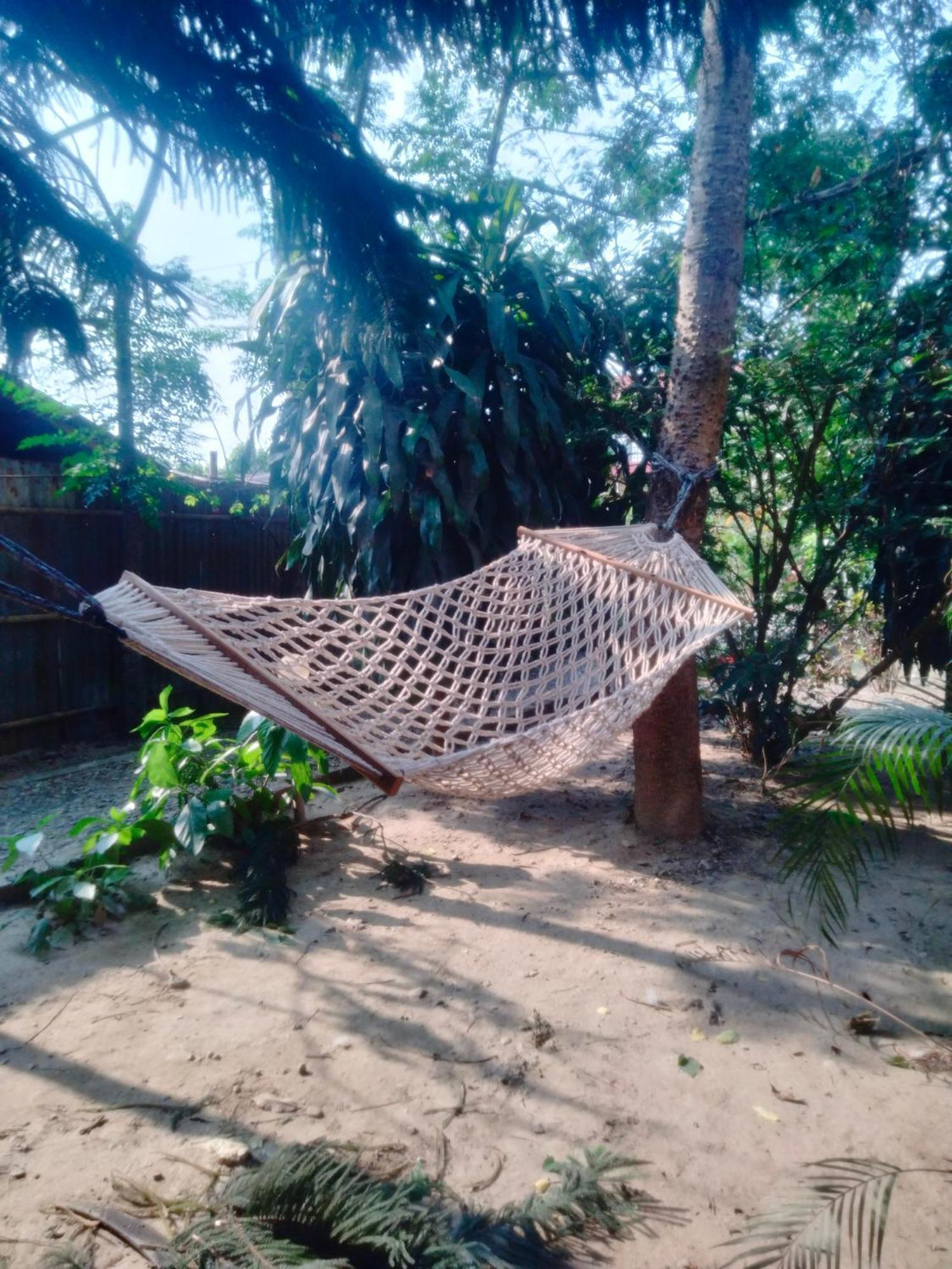 Hotel Tiger Tops Sauraha Ngoại thất bức ảnh