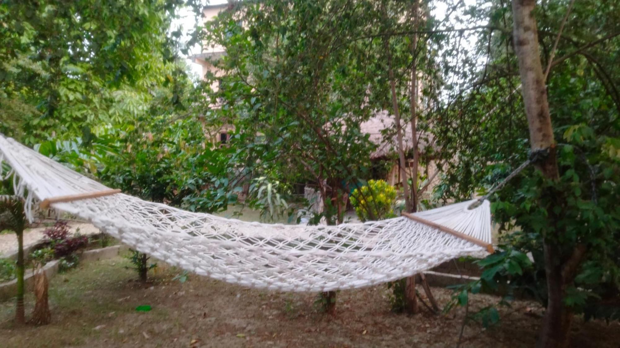 Hotel Tiger Tops Sauraha Ngoại thất bức ảnh