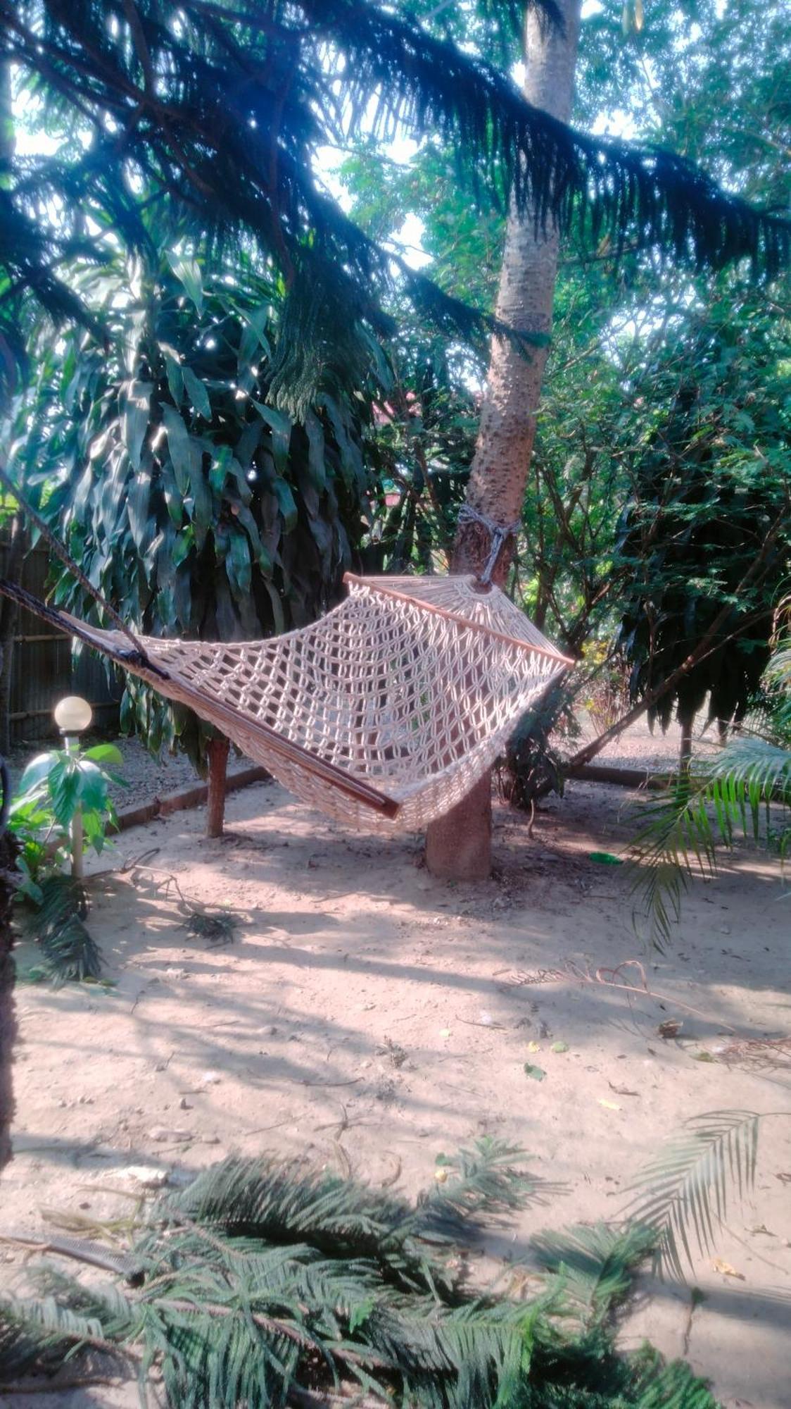 Hotel Tiger Tops Sauraha Ngoại thất bức ảnh