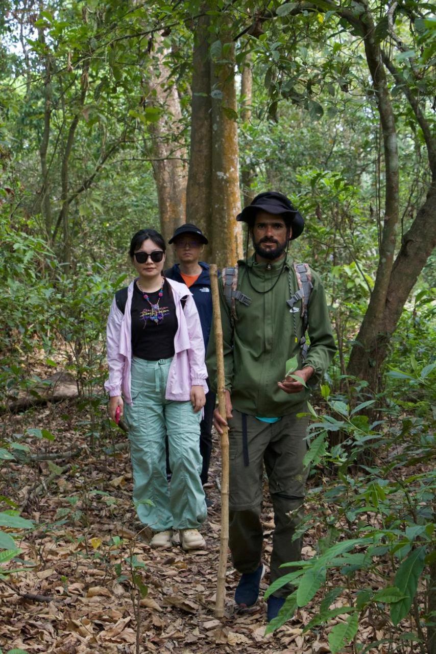 Hotel Tiger Tops Sauraha Ngoại thất bức ảnh