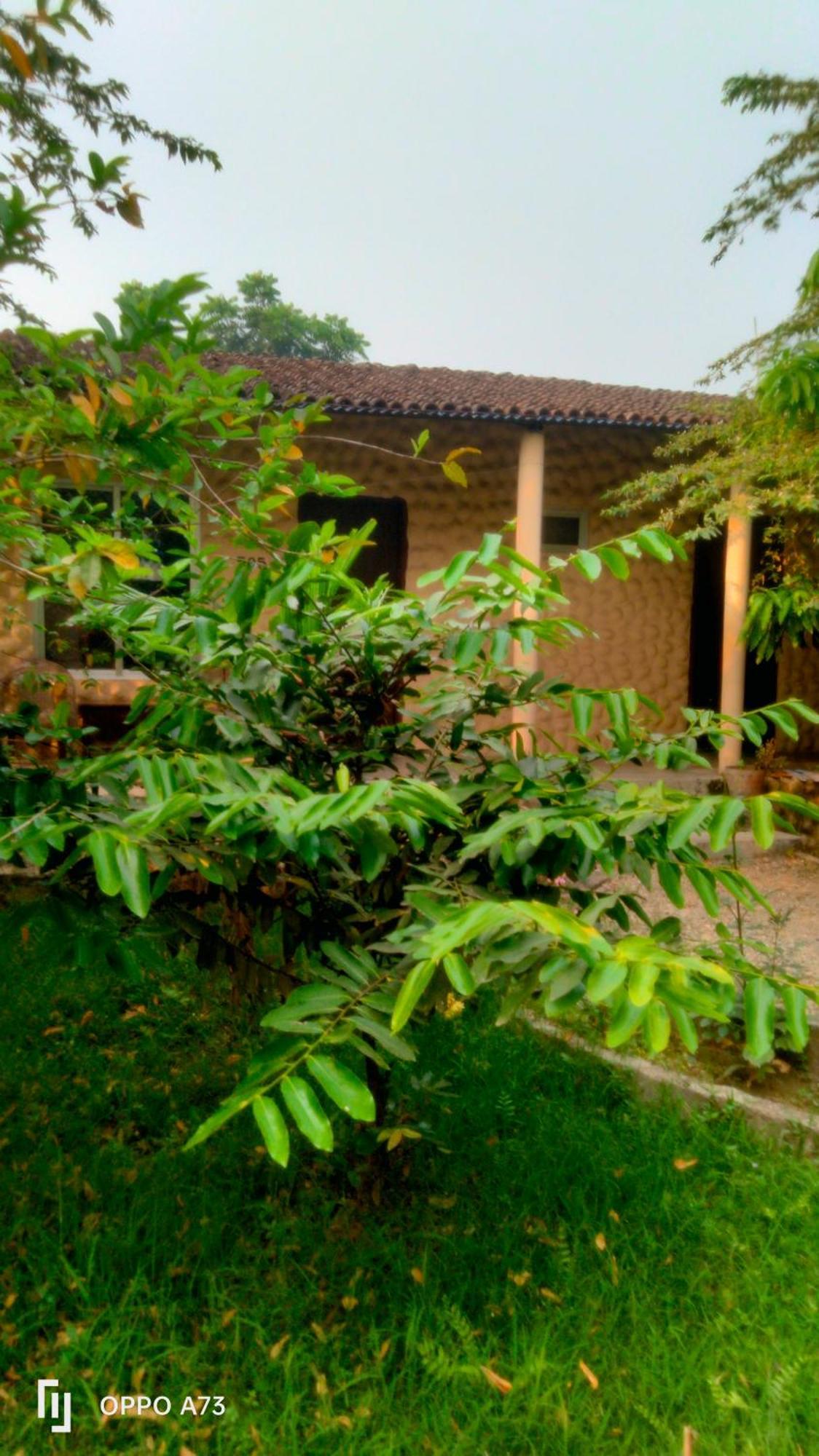 Hotel Tiger Tops Sauraha Phòng bức ảnh