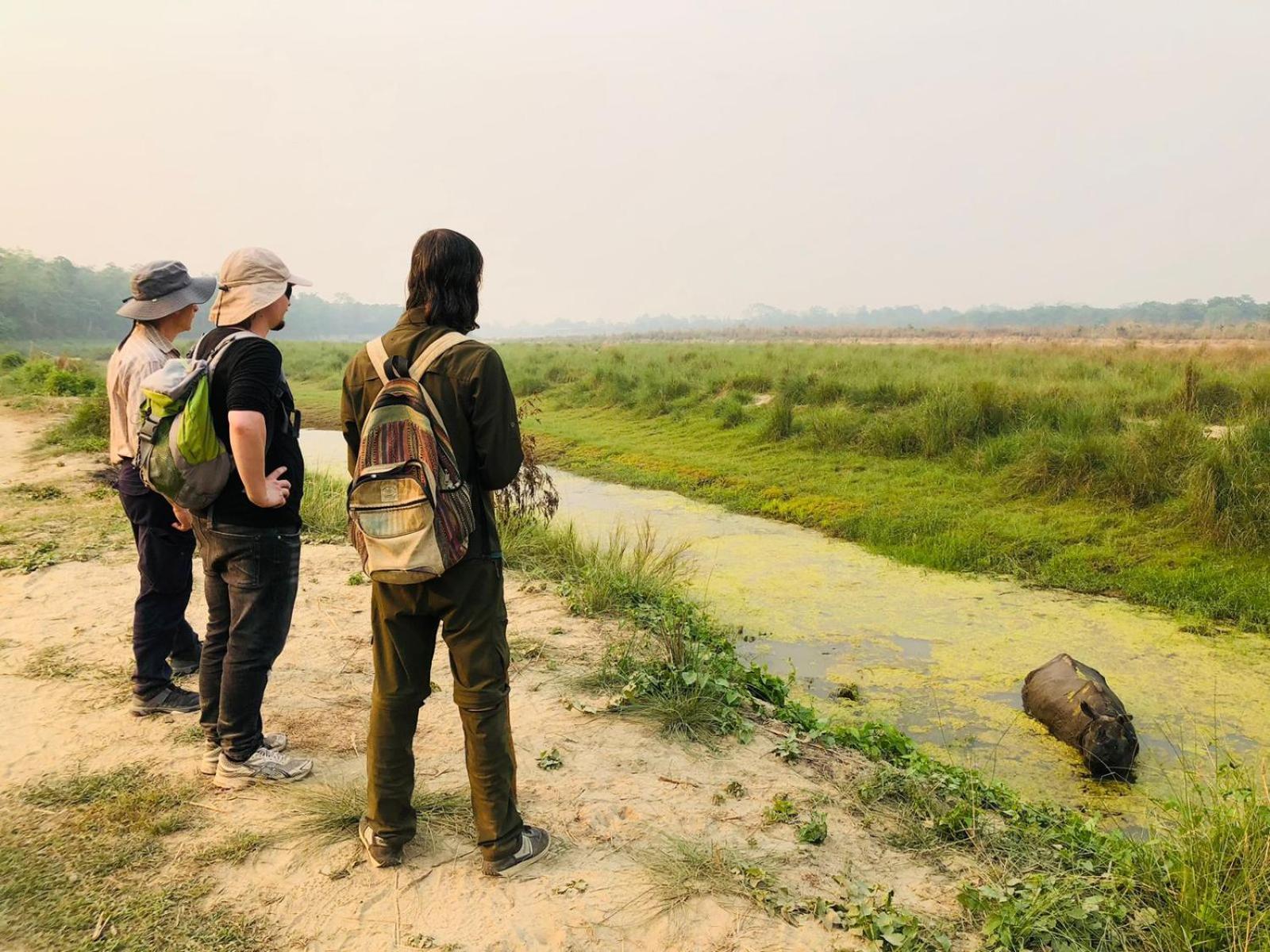 Hotel Tiger Tops Sauraha Ngoại thất bức ảnh
