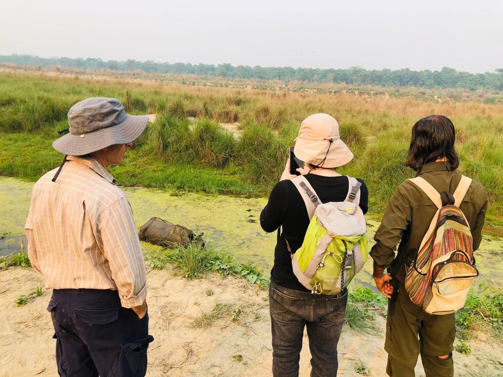 Hotel Tiger Tops Sauraha Ngoại thất bức ảnh