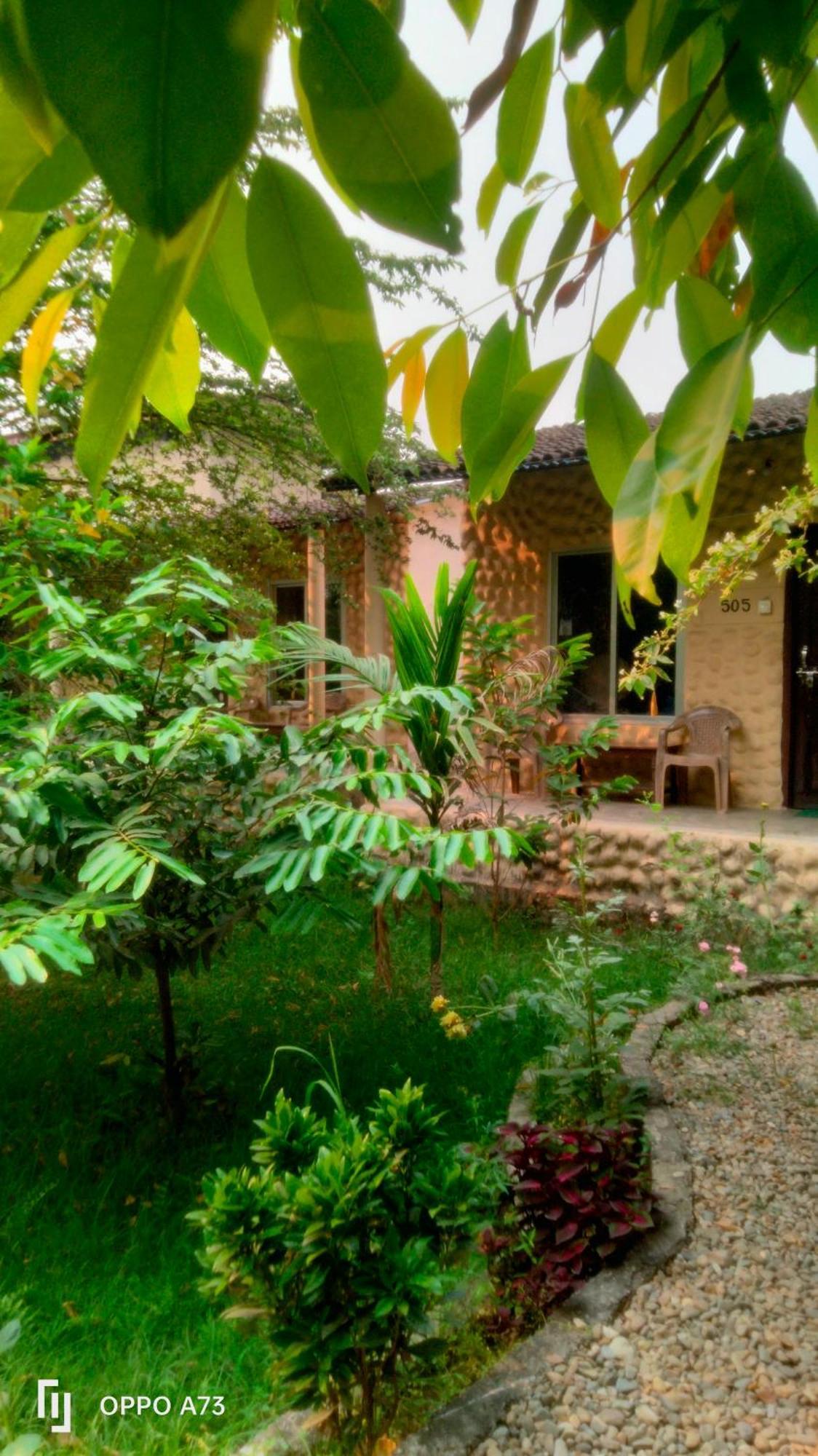 Hotel Tiger Tops Sauraha Phòng bức ảnh