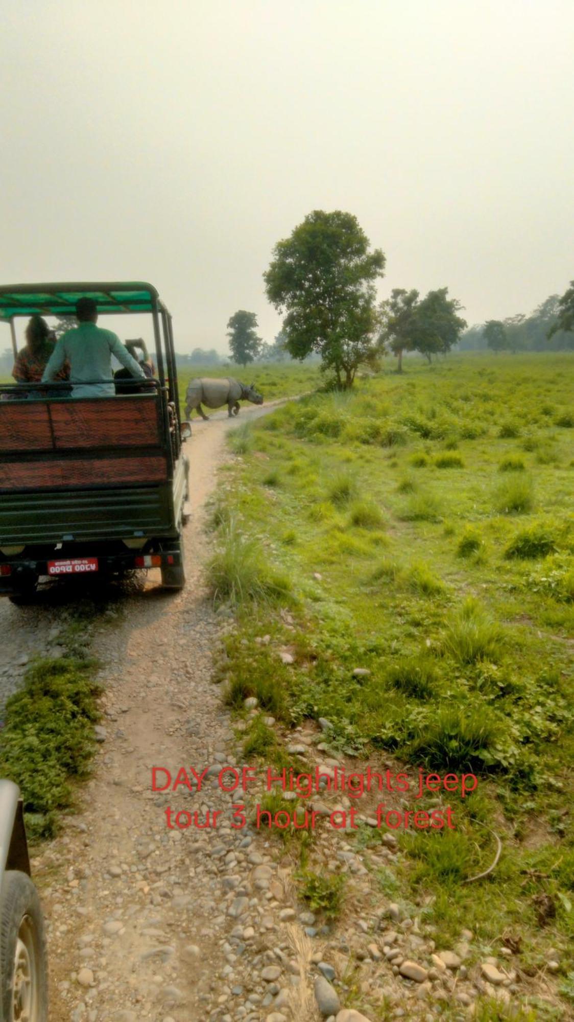 Hotel Tiger Tops Sauraha Ngoại thất bức ảnh