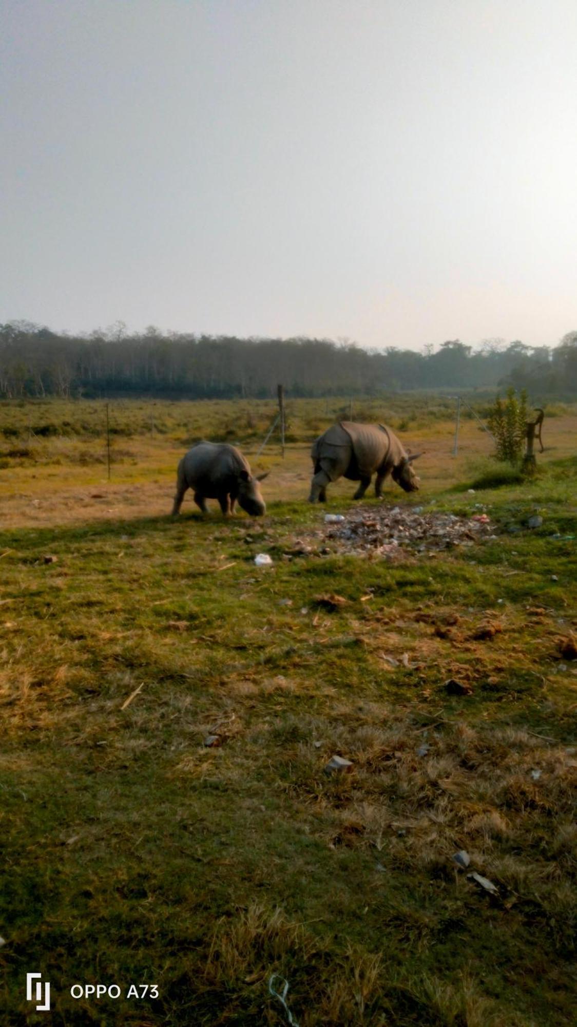 Hotel Tiger Tops Sauraha Ngoại thất bức ảnh