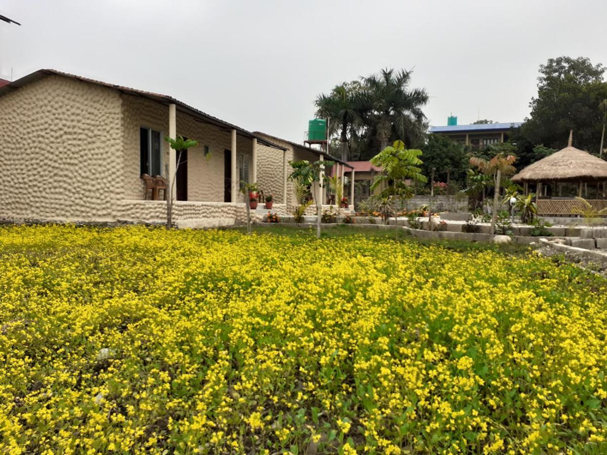 Hotel Tiger Tops Sauraha Ngoại thất bức ảnh